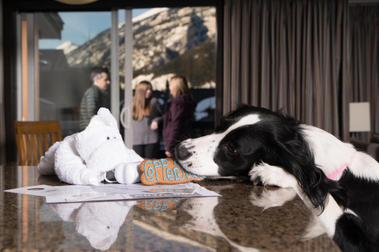 Copperstone Resort By Clique Canmore Esterno foto